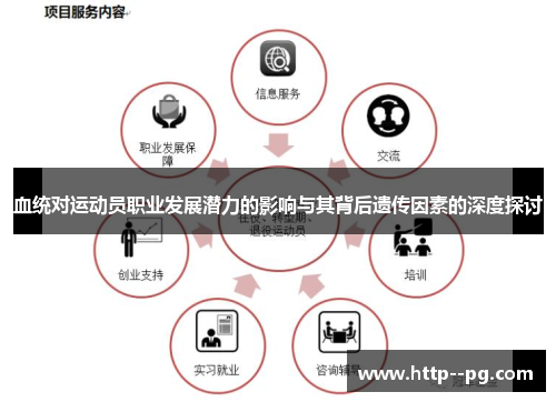 血统对运动员职业发展潜力的影响与其背后遗传因素的深度探讨