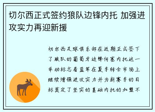 切尔西正式签约狼队边锋内托 加强进攻实力再迎新援
